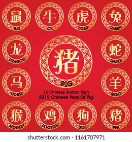 12 Chinese zodiac symbols / 2019 year of the Pig
