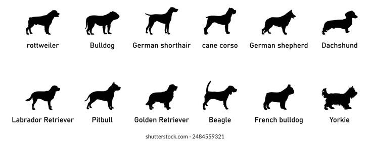 12 Dog Breed Names Silhouette vector art