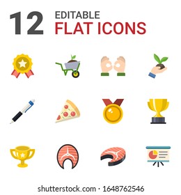 12 emblem flat icons set isolated on white background. Icons set with achievement, Garden services, Handmade, Pen, Pizza, Gardening, award, salmon, fish steak, Presentation icons.