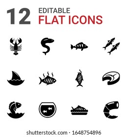 12 fish filled icons set isolated on white background. Icons set with lobster, eel, perch, shark fin, grilled fish, sardine, Seafood, Aquarium, baked fish, shrimp, steak icons.