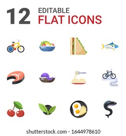 12 healthy flat icons set isolated on white background. Icons set with bike sharing, Salad, sandwich, fish steak, seafood, tuna, cherry, vegetarian, breakfast, eel, Bike tour icons.