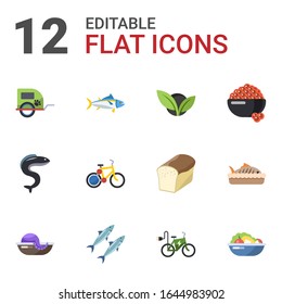 12 healthy flat icons set isolated on white background. Icons set with pet trailer, tuna, vegetarian, eel, bike sharing, caviar, seafood, sardine, elektro bike, Salad, baked fish icons.