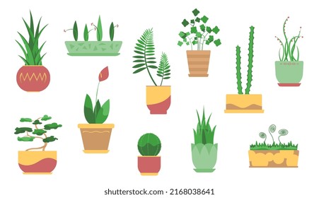 12 plantas domésticas ilustraciones vectoriales sobre una composición de fondo blanco en color
