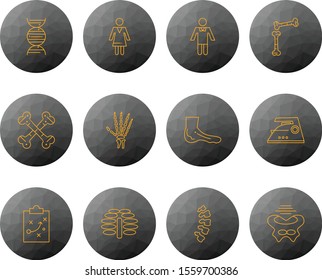 12 icon set of Universal  for your website and project
 