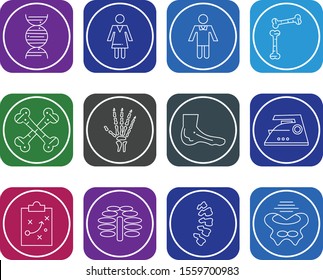 12 icon set of Universal  for your website and project
 