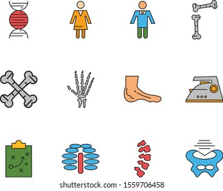 12 icon set of Universal  for your website and project
 