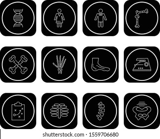 12 icon set of Universal  for your website and project
 