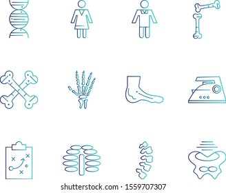 12 icon set of Universal  for your website and project
 