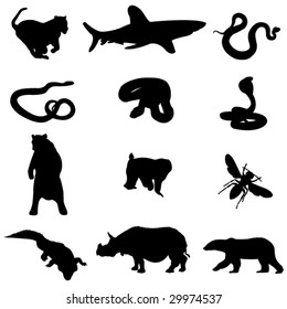 12 killer animal in Asia