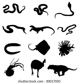 12 killer animal in Asia-Pacific area