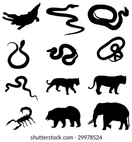 12 killer animal in India