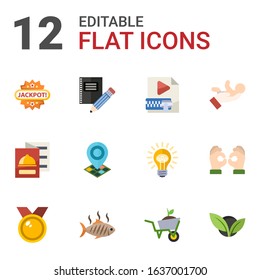12 label flat icons set isolated on white background. Icons set with Jackpot, Stationery, Video Compression, restaurant menu, Geo Targeting, babysitting service, medal icons.