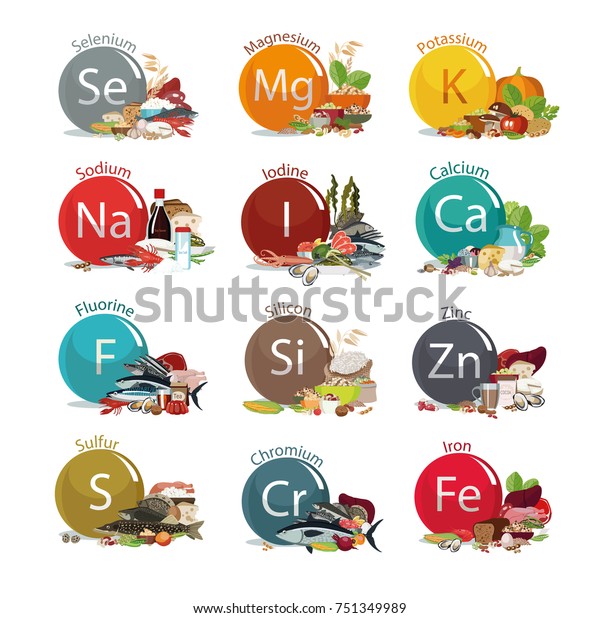 12 Microelements Human Health Food Sources Stock Vector (Royalty Free ...