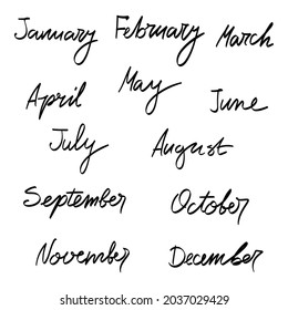 12 months. Hand drawn months of the year. Vector lettering. 