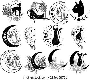 12 Mystical Black Cat bundle