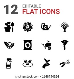 12 iconos llenos de plantas aislados en fondo blanco. Iconos con jardín, diseño floral, lata de agua, vegetariano, fertilizante, ramo, botella de spray, semillas, íconos de jardin.