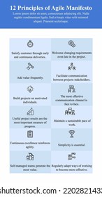 12 principles of Agile Manifesto.