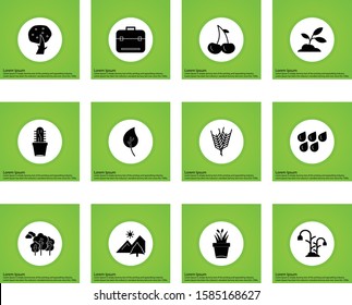 12 Simple Universal Related Icons for your project 
