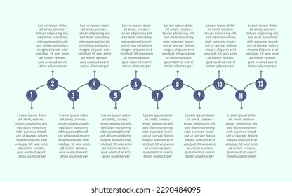 12 Steps Timeline Infographic Image Vector