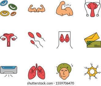 12 Universal icon sheet for your project
   