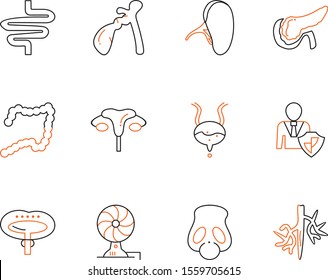 12 Universal icon for your project
  