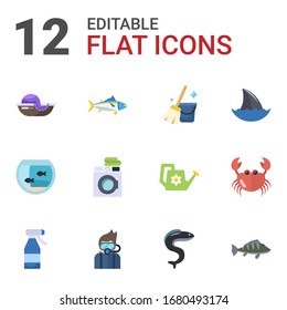 12 iconos planos de agua aislados en fondo blanco. Iconos con mariscos, atún, Servicio de limpieza, Acuario, Servicio de lavandería, aleta de tiburón, Botella de spray, Buceo, anguila, íconos de perca.