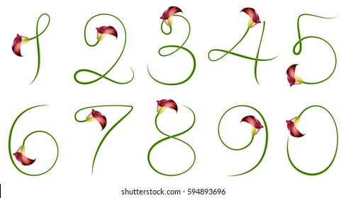 123 realistic flower number set, numeral character