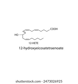 12HETE, 12-hydroxyeicosatetraenoate skeletal structure diagram.prostanoid compound molecule scientific illustration on white background.