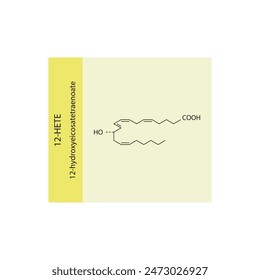 12HETE, 12-hydroxyeicosatetraenoate skeletal structure diagram.prostanoid compound molecule scientific illustration on yellow background.