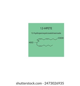 12HPETE, 12-hydroperoxyeicosatetraenoate skeletal structure diagram.prostanoid compound molecule scientific illustration on green background.