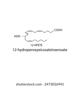 12HPETE, 12-hydroperoxyeicosatetraenoate skeletal structure diagram.prostanoid compound molecule scientific illustration on white background.