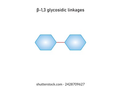 1,3 Glycosidic Linkages Structure Scientific Design. Vector Illustration.	