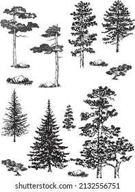 13 inked tree woodland elements pine spruce fir  cedar rock arbor vector graphics  - realistic black monotone- isolated black silhouette on white background