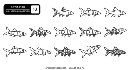 13 botia linear ícones de peixe, mostrando diferentes padrões e variações.