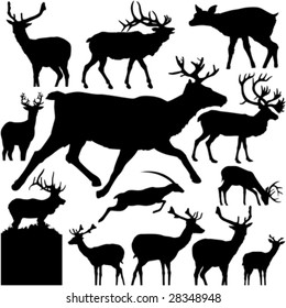 13 pieces of detailed vectoral deer  silhouettes.
