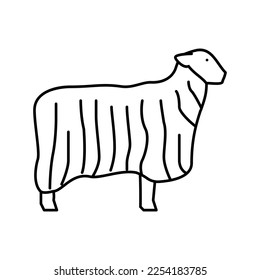 13 teeswater sheep line icon vector. 13 teeswater sheep sign. isolated contour symbol black illustration
