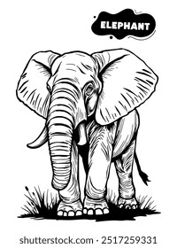 136 elephant illustration model for coloring