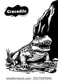 137 Crocodile illustration model for coloring