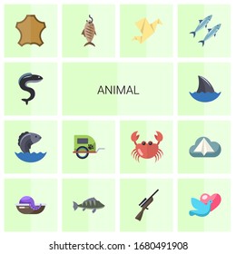 14 animal flat icons set isolated on white background. Icons set with eel, Seafood, pet trailer, shark fin, leather, smoked fish, Origami, sardine, seafood, perch, Hunting icons.