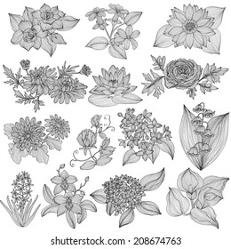 14 elegant decorative flowers, design elements. Floral branches. Floral decorations for vintage wedding invitations, greeting cards, banners.