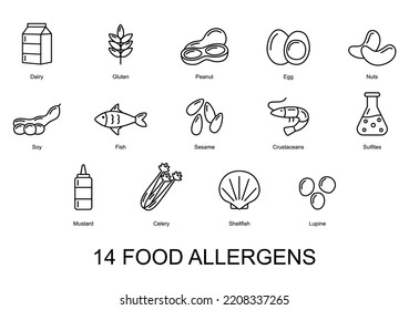 14 Food Allergens Set Basic Allergens Stock Vector (Royalty Free ...