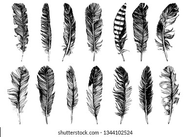 14 hand drawn feathers isolated on white background. Vector illustration