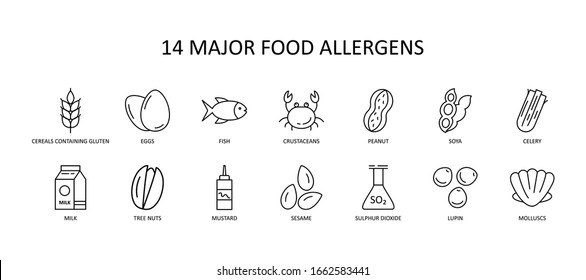 14 major food allergens icon. Vector set of 14 icons with editable stroke. Collection includes gluten, fish, egg, crustacean, peanut, lupin, soya, milk, trees nuts, mustard, sesame, sulphur dioxide.