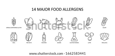 14 major food allergens icon. Vector set of 14 icons with editable stroke. Collection includes gluten, fish, egg, crustacean, peanut, lupin, soya, milk, trees nuts, mustard, sesame, sulphur dioxide. Photo stock © 