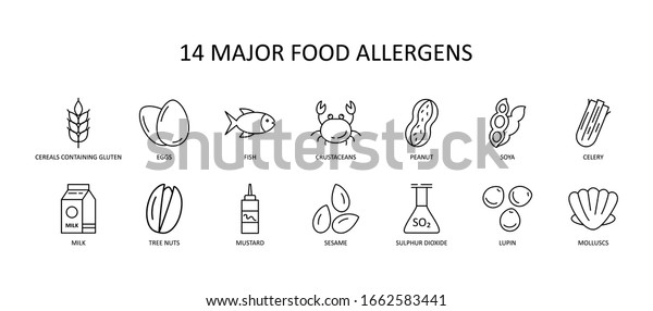 14 Major Food Allergens Icon Vector Stock Vector (Royalty Free) 1662583441