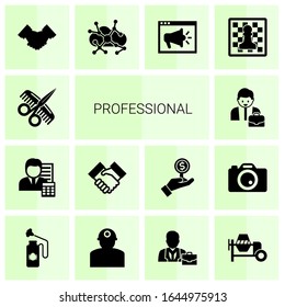 14 professionell gefüllte Symbole einzeln auf weißem Hintergrund. Symbole mit Friseur, Buchhalter, Zusammenarbeit, Unternehmer, Partnerschaft, Asynchrones Lernen Symbole.