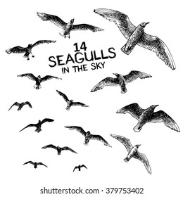 14 seagulls in the sky, engraved style hand drawing vector illustration