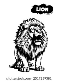 141 lion illustration model for coloring