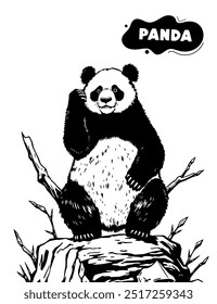 146 modelo de ilustração panda para colorir