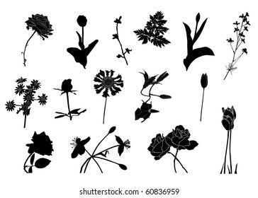 15 different floral elements for your design